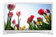 Televizor LED Samsung Smart TV, 100 PQI, 81 cm